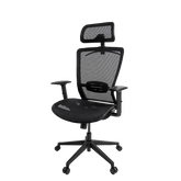 Flexispot Ergonomic Chair OC3